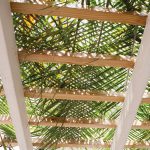 Supper in the Sukkah